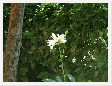A 005B * 2048 x 1536 * (1.19MB)